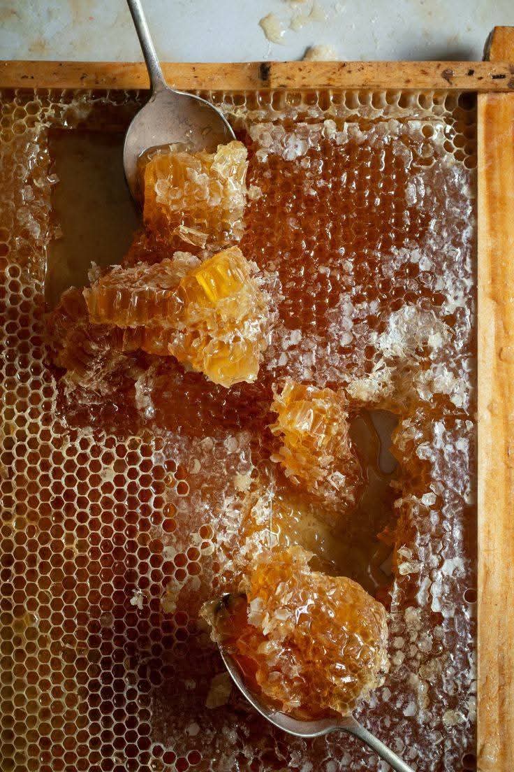Full comb honey frame with spoonfuls of comb taken out