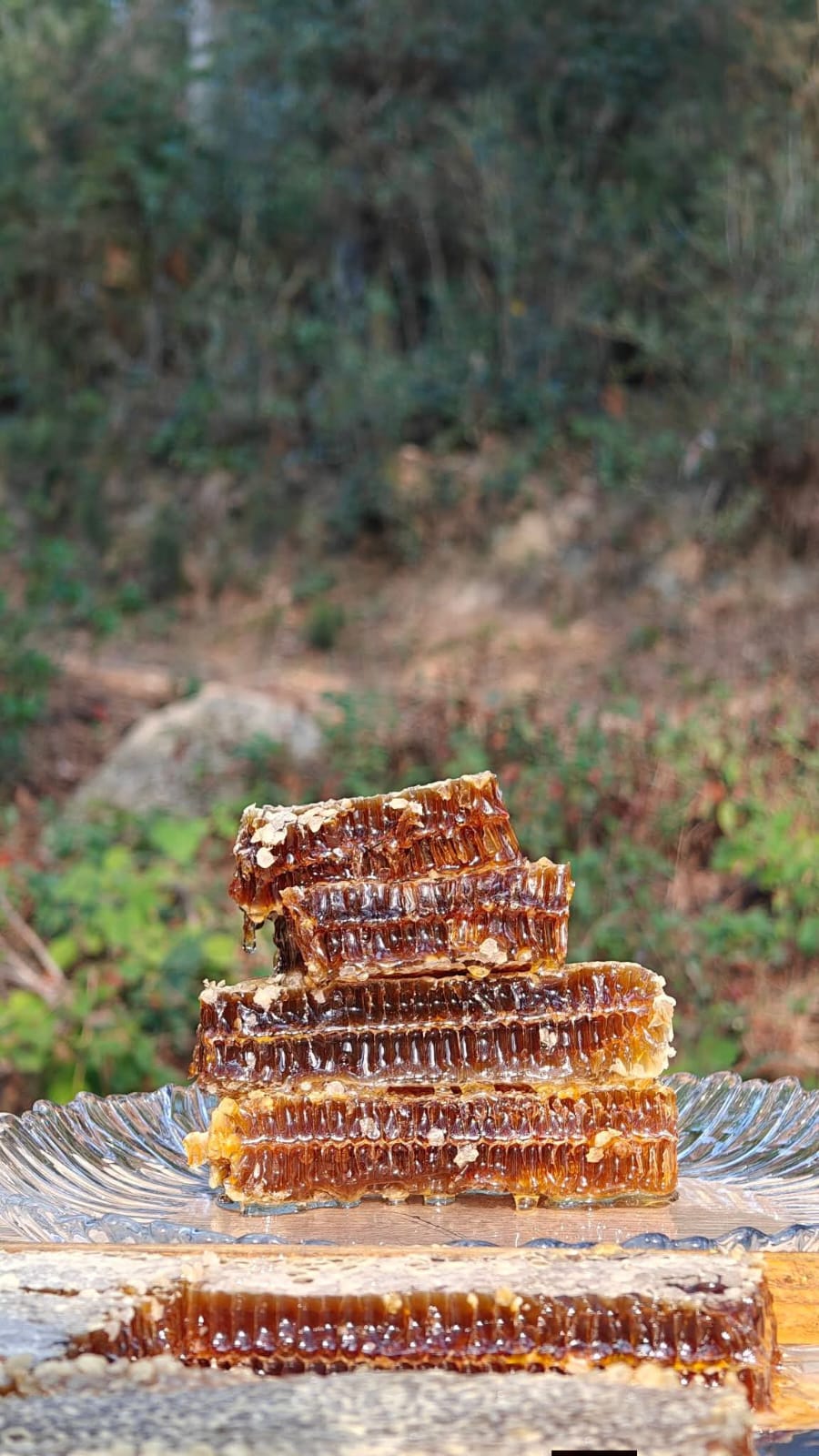 Stacked pieces of raw comb honey on a glass plate