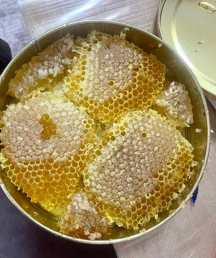 Round tin packed full of raw comb honey